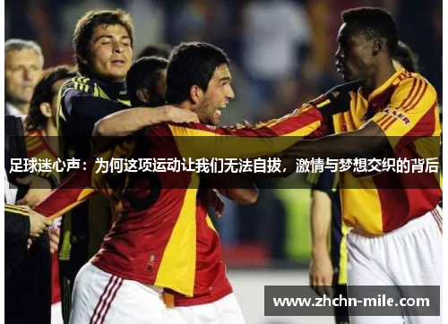 足球迷心声:为何这项运动让我们无法自拔,激情与梦想交织的背后 足球迷心声:为何这项运动让我们无法自拔,激情与梦想交织的背后