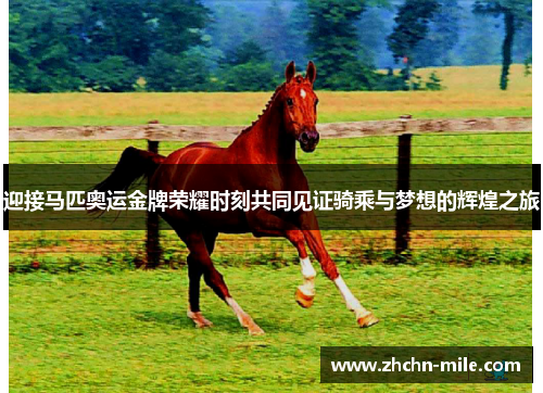 迎接马匹奥运金牌荣耀时刻共同见证骑乘与梦想的辉煌之旅 迎接马匹奥运金牌荣耀时刻共同见证骑乘与梦想的辉煌之旅