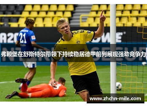 弗赖堡在舒斯特尔带领下持续稳居德甲前列展现强劲竞争力