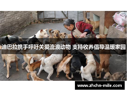 迪巴拉携手呼吁关爱流浪动物 支持收养倡导温暖家园