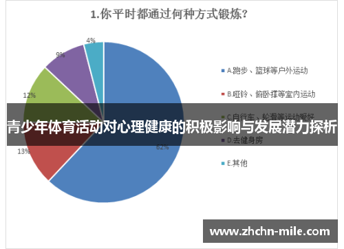 青少年体育活动对心理健康的积极影响与发展潜力探析