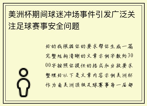 美洲杯期间球迷冲场事件引发广泛关注足球赛事安全问题 美洲杯期间球迷冲场事件引发广泛关注足球赛事安全问题